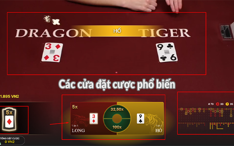 Các cửa đặt cược phổ biến trong Long Hổ