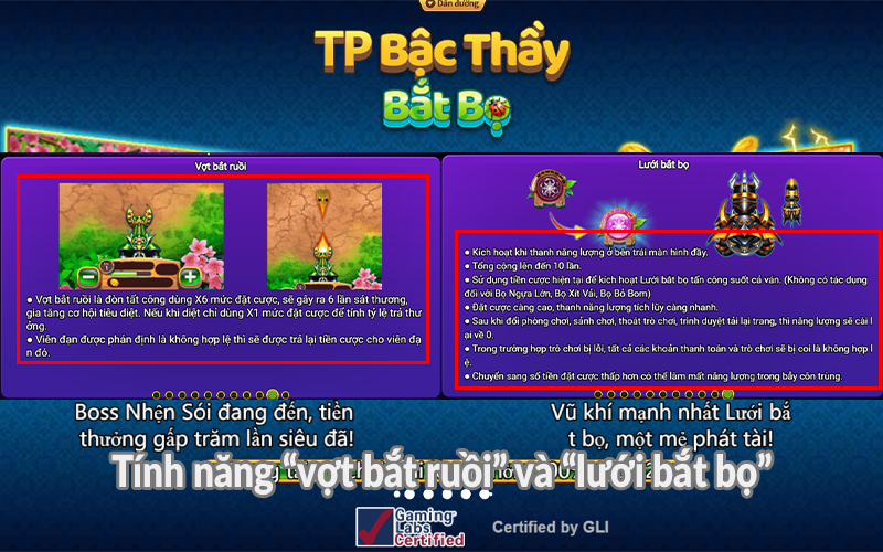 Tính năng vợt bắt ruồi và lưới bắt bọ